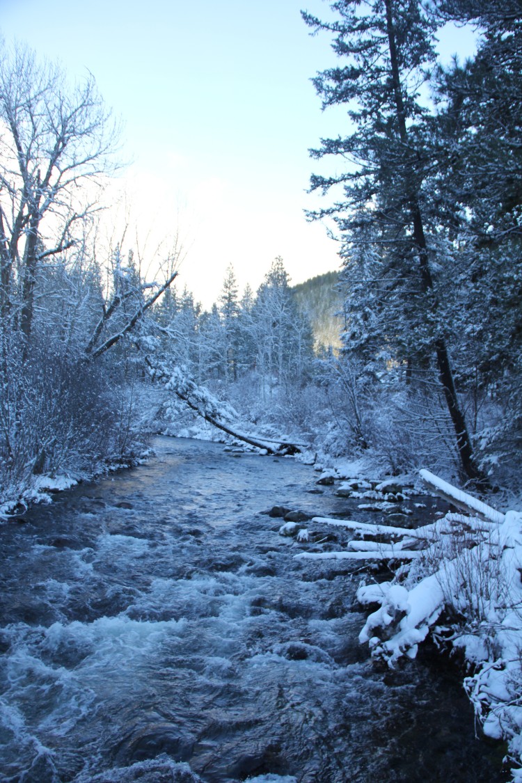 Rattlesnake Creek